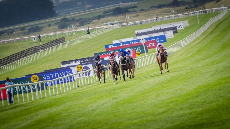 Flat racing on turf at the Curragh, Ireland
