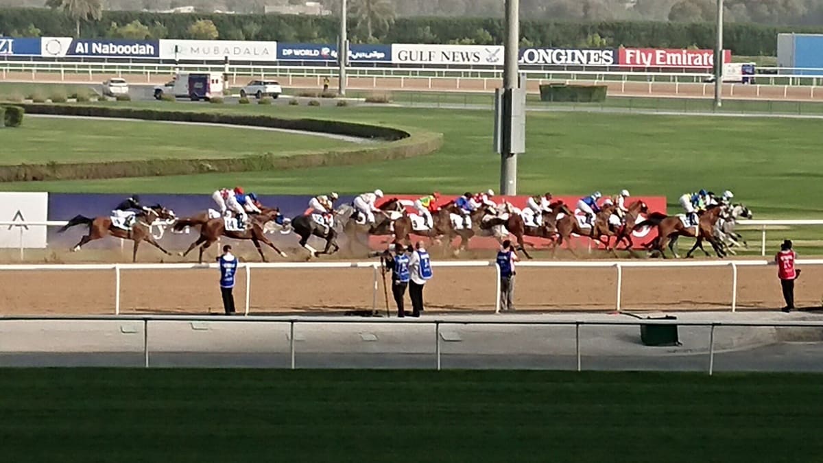 A field of racehorses on the dirt track at Meydan Racecourse, Dubai