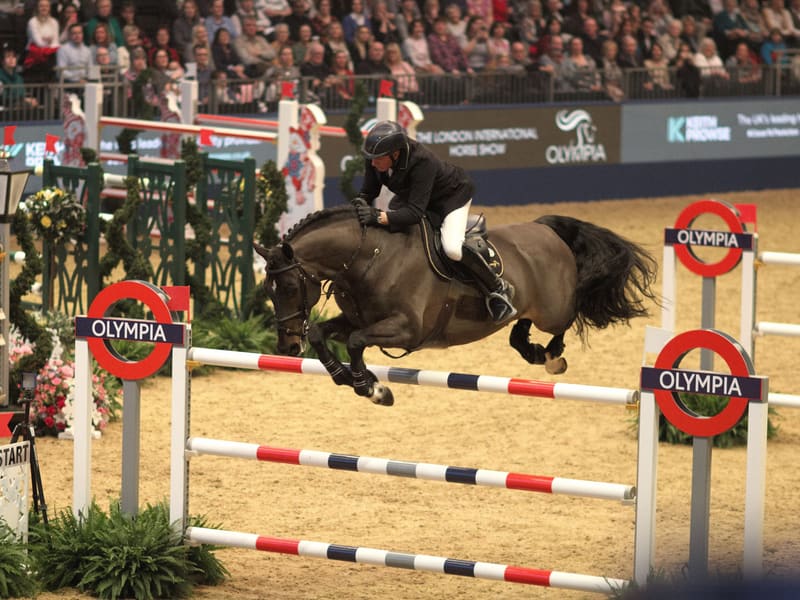 A show jumper clearing a fence in an indoor arena